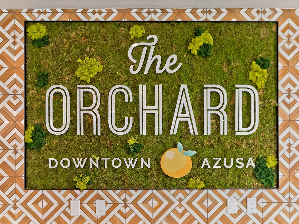 The Orchard