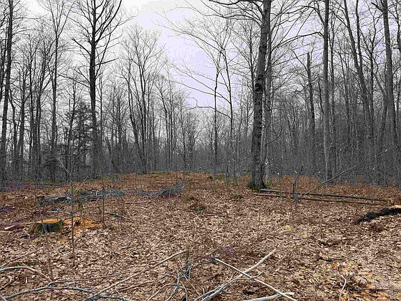 4th image of Forrester Road