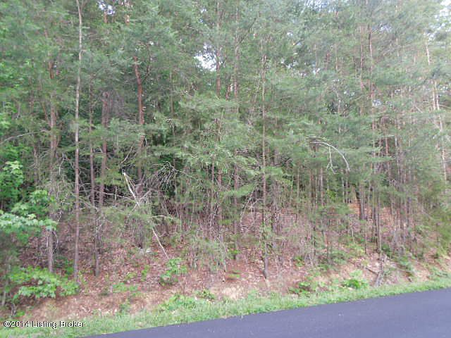 2nd image of 0 Terry Dr