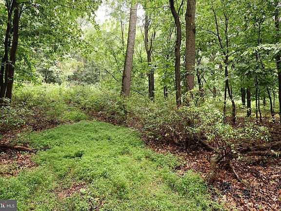 4th image of Trail Ln