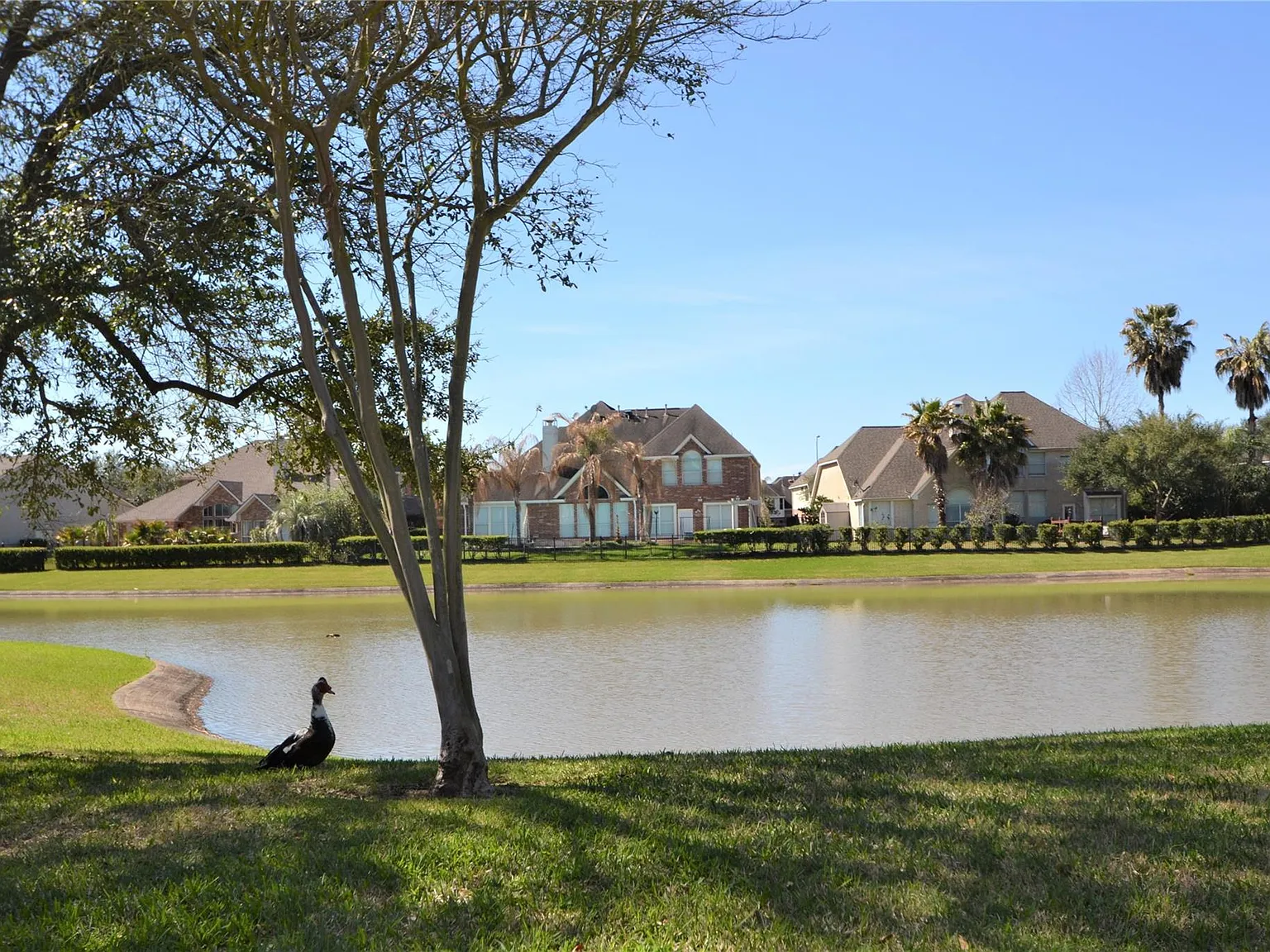 4 bed, 3.5 bath, 3100 sqft, $2,900 — Photo 3