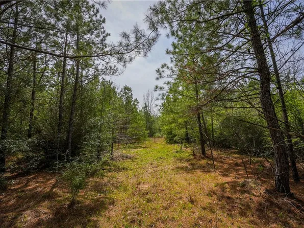 Highway 87 Hwy N, Newton, TX 75966