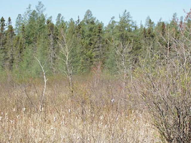 2nd image of 13 On Hwy