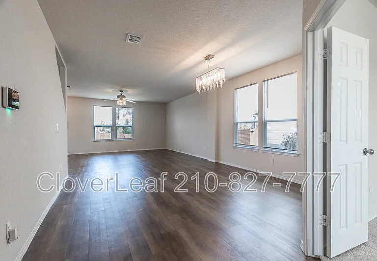 6823 Ashcat — Photo 6