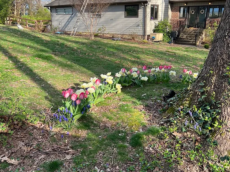 4701 Westover Ter — Photo 31
