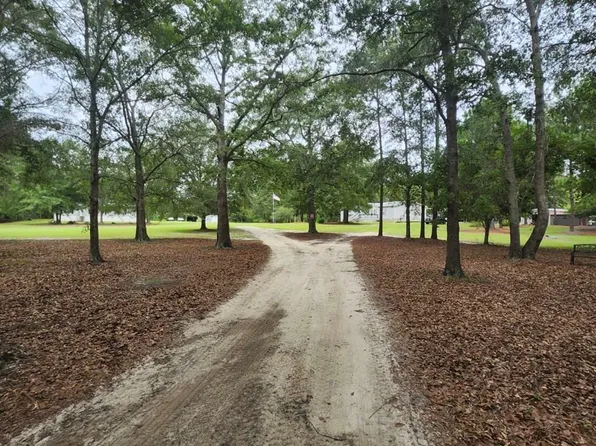 786 Blackberry Rd, Baconton, GA 31716