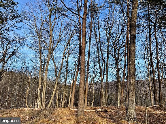 2nd image of Madison Hill Dr
