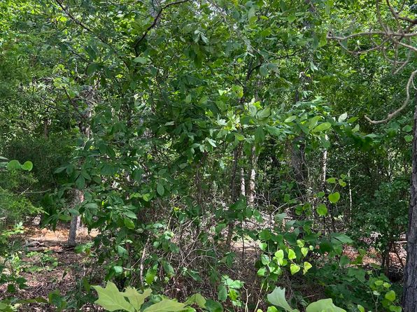 1 Xx Lot Rosboro, Glenwood, AR 71943