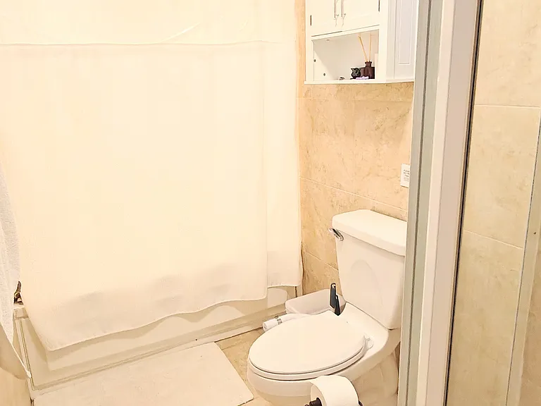Shower stall to the right, jetted tub and shower behind curtain.