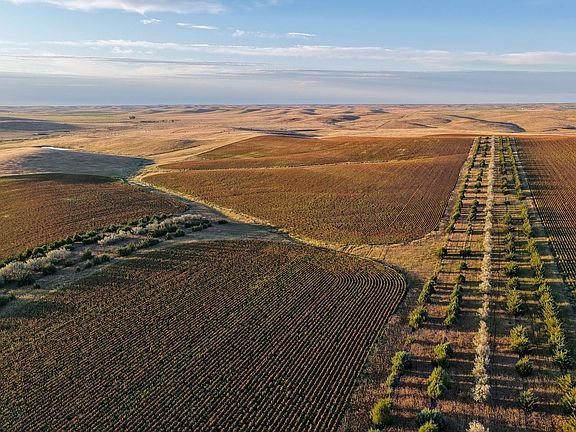Dji Fly 20260831 063152 0807 1788199023319 Photo