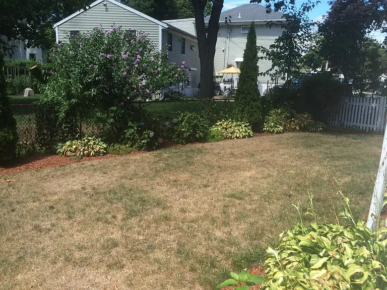 Landscaped backyard