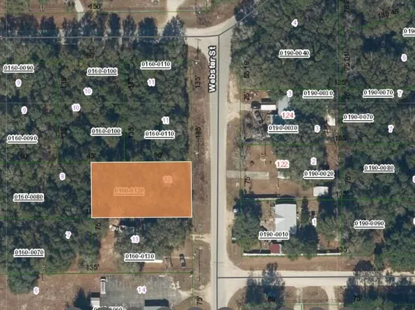 0 WEBSTER Street, Interlachen, FL 32148