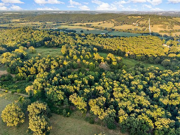 4th image of Wilson Springs Rd