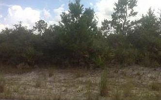 1st image of 3358 Ostrich St