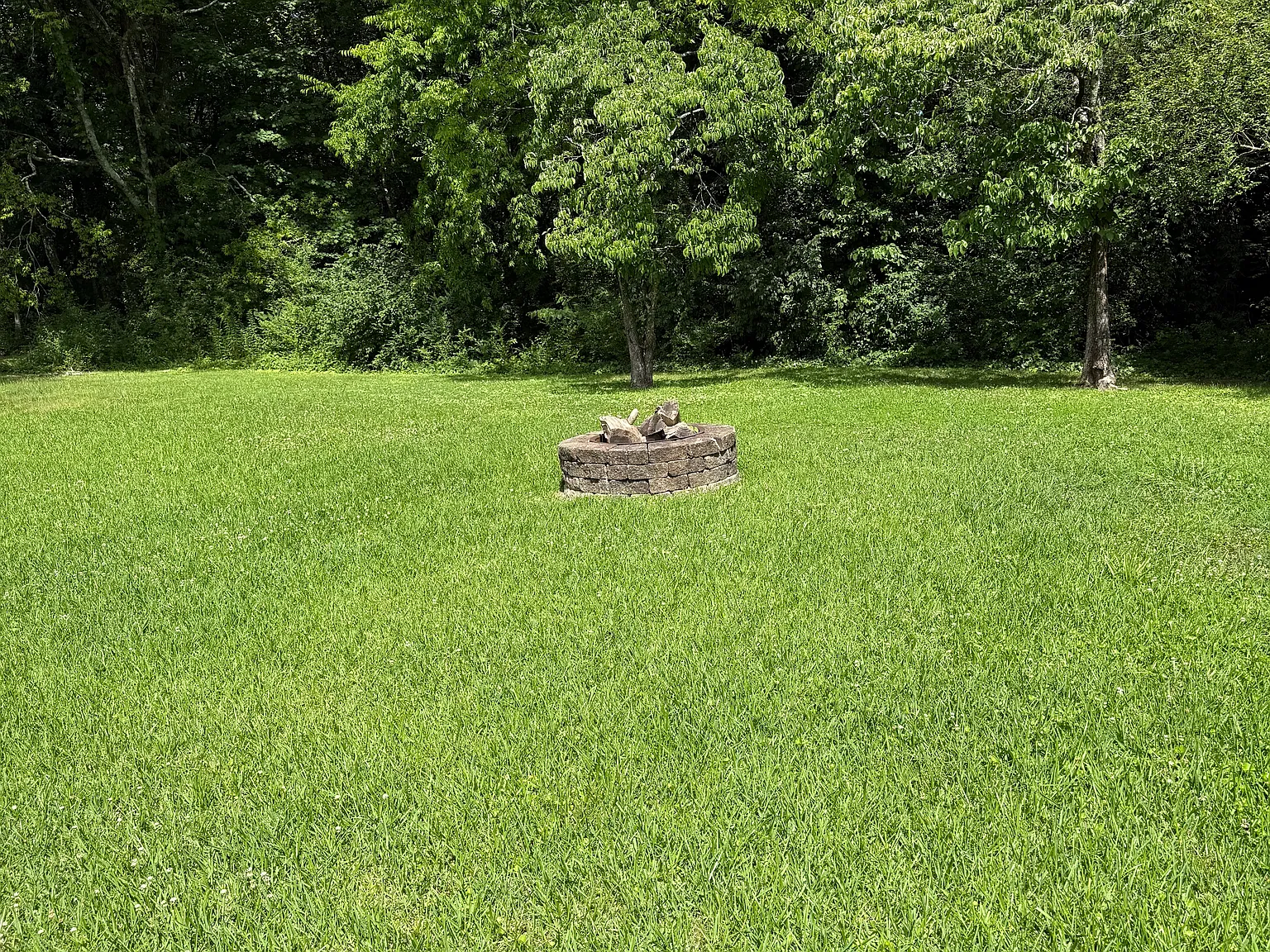 2 bed, 1.5 bath, 1518 sqft, $2,150 — Photo 4