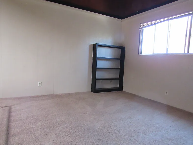 481 Hillview St — Photo 17