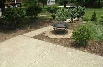 4th image of 316 Forest Ave