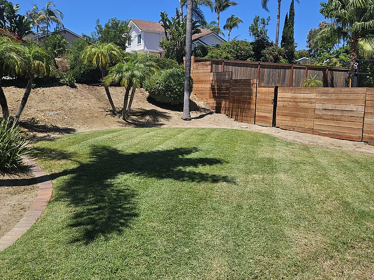 Front yard