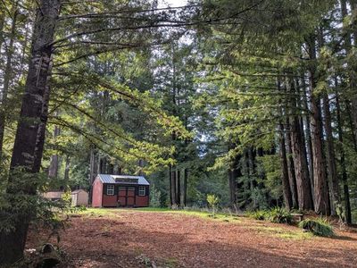 19800 Appaloosa Way, Navarro, CA, 95463