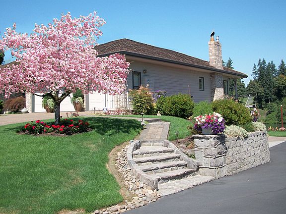 Side View