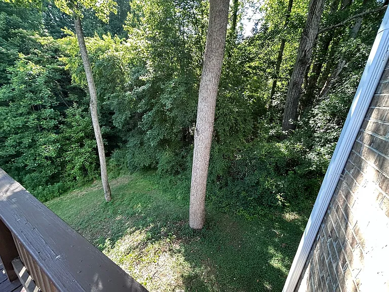 4540 Pebble Lake Dr — Photo 68
