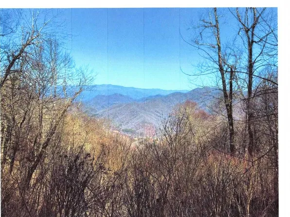 33 Butterfly Path, Bryson City, NC 28713