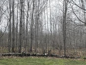2nd image of 4607 Chappel Dam Rd