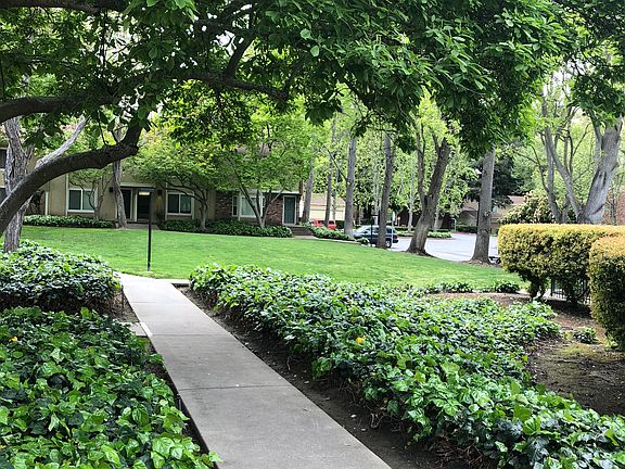 3rd image of 598 Sycamore Cir
