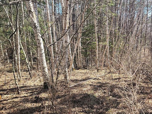 3rd image of On Hunter Lake Rd