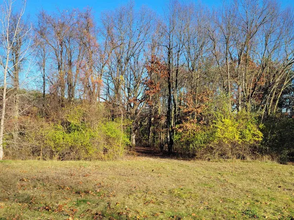 PARCEL Three Fruitwood Dr, Tipton, MI 49287
