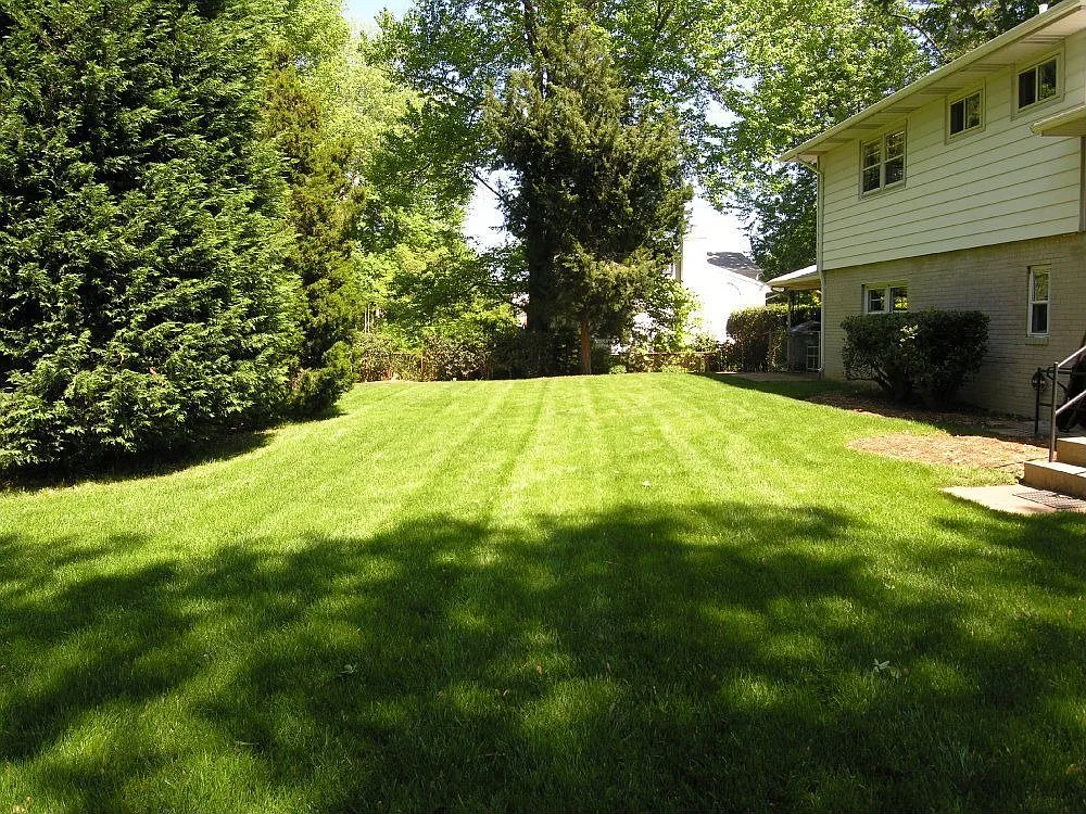 1712 Margie Dr photo 1