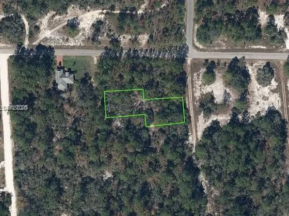 405 Blue Horizon Dr, Lake Placid, FL 33852