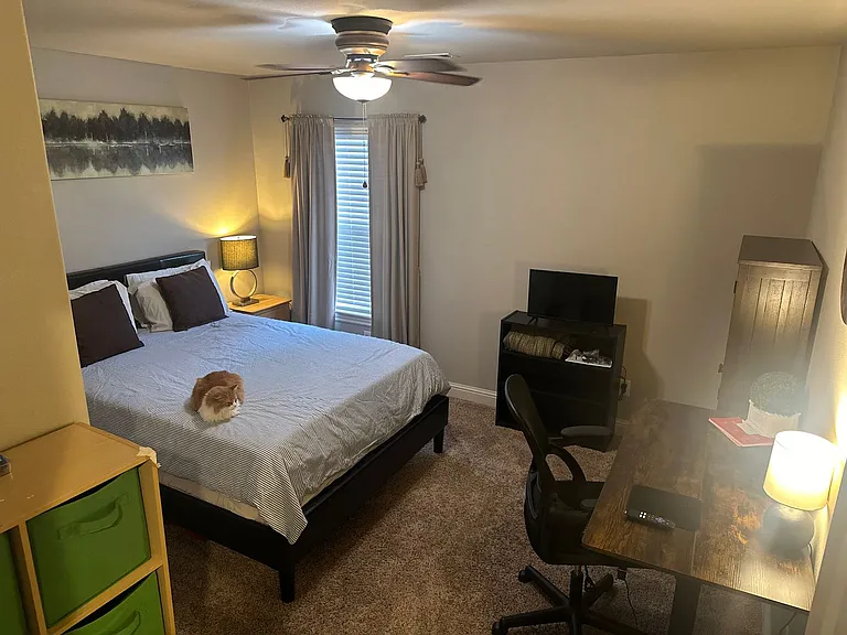 2479 Frontier Elm Dr — Photo 15