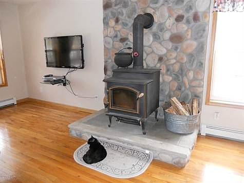 Wood Stove with Stone Hearth