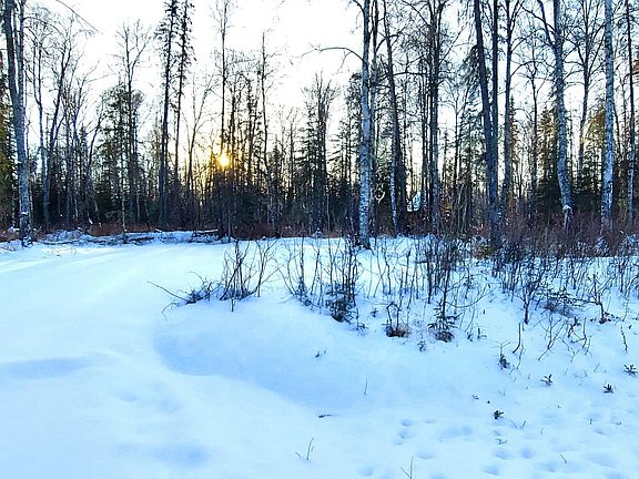 3rd image of L15 E Fireweed Honey Rd