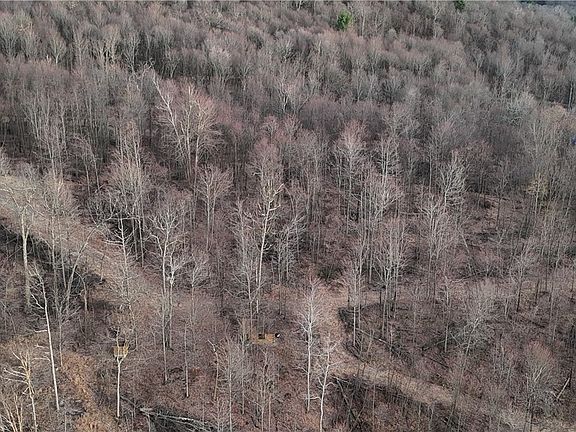 2nd image of Along Gallagher & Loop