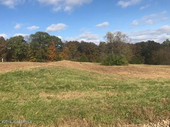Tbd Country View Dr, Tebbetts, MO 65080