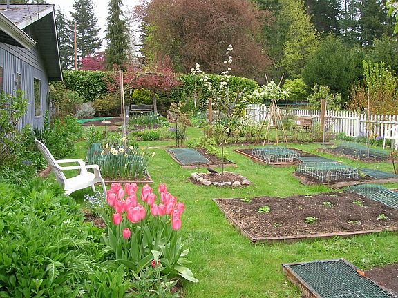 Vegetable beds