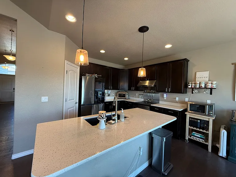 12519 Mount Lindsey Dr — Photo 11