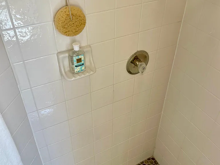 Master Bath Stand up Shower
Left side of Tall Vanity #2