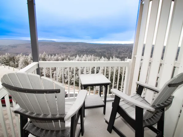 286 Mountain Lodge Ln, Snowshoe, WV 26209