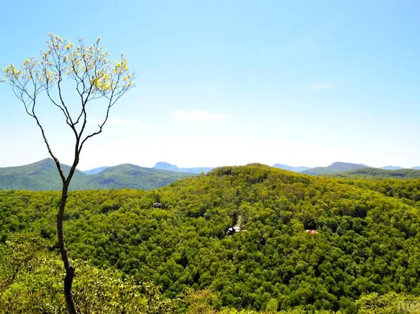 Lot 50 Continental Drive, Sapphire, NC 28774