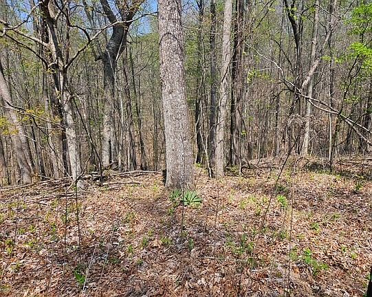 5th image of Benton Tidwell Rd