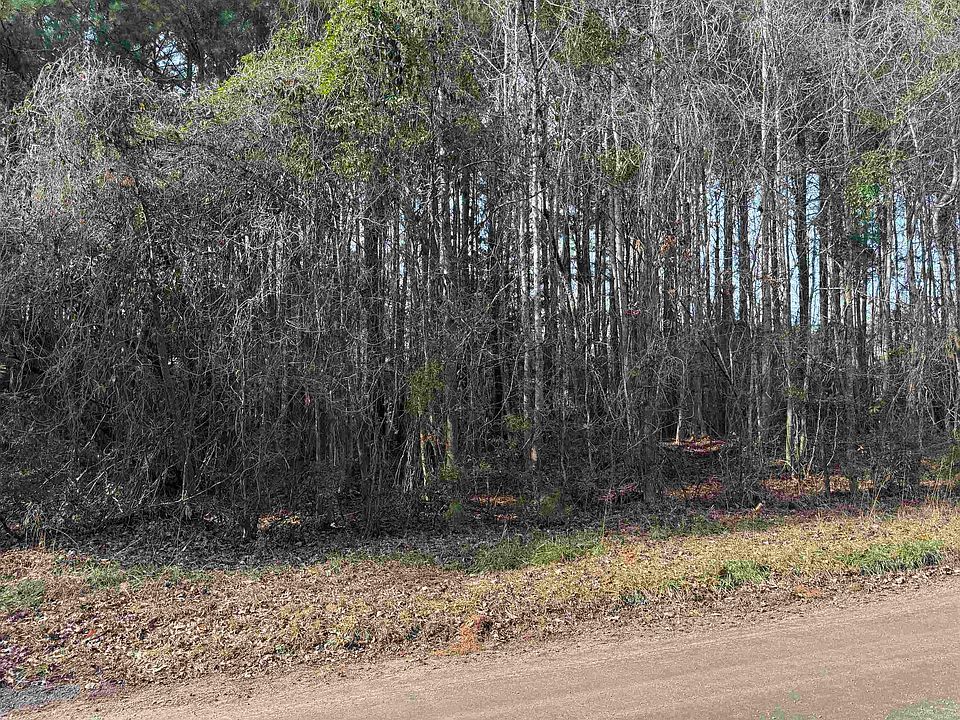 2nd image of Lt 4 Rolling River Rd.