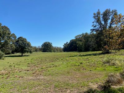 12 County Road 242, Oakwood, TX, 75855