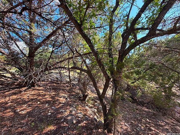 5th image of 2021 RONDA CT LOT 1057