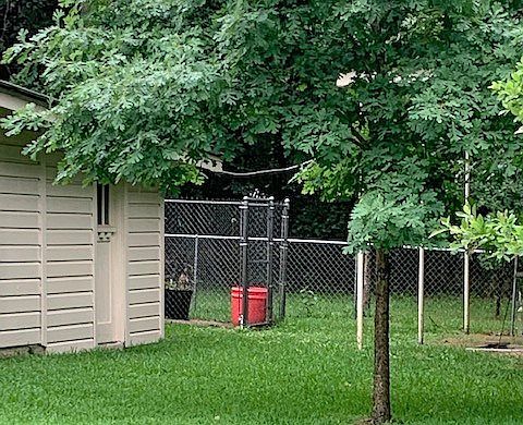 4th image of 3115 Swann Dr
