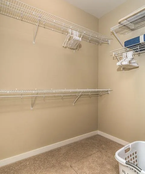 Bedroom 1 walk in closet