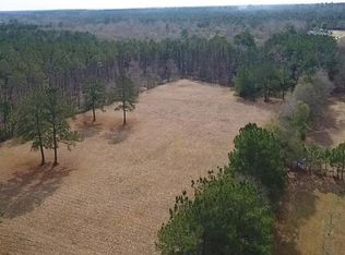794 Turkey Creek Dr, Livingston, TX 77351