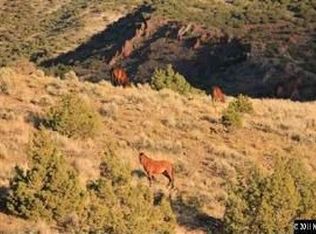 705 Rodero Rd, Reno, NV 89510